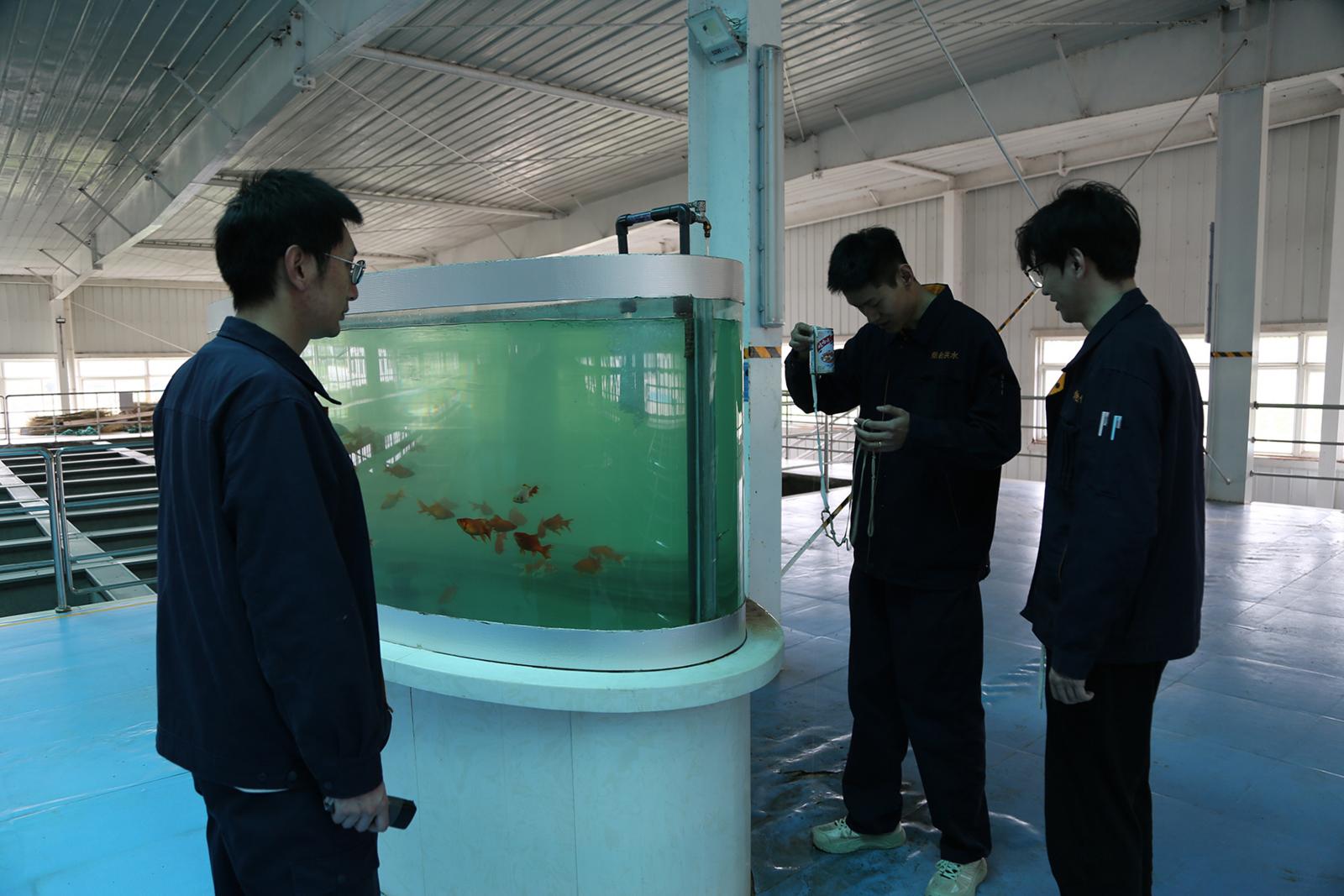 门楼水库24小时动态监控水源