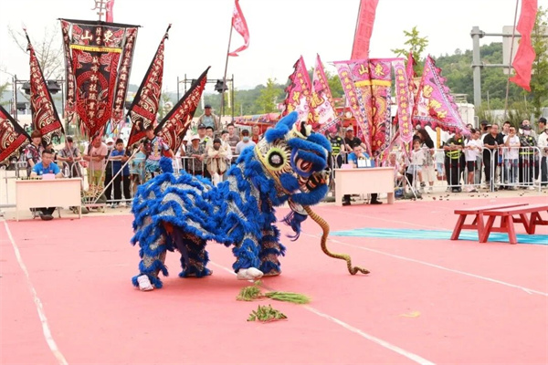 非遗龙狮展雄风！烟台市第二届龙狮大赛即将在福山区开赛