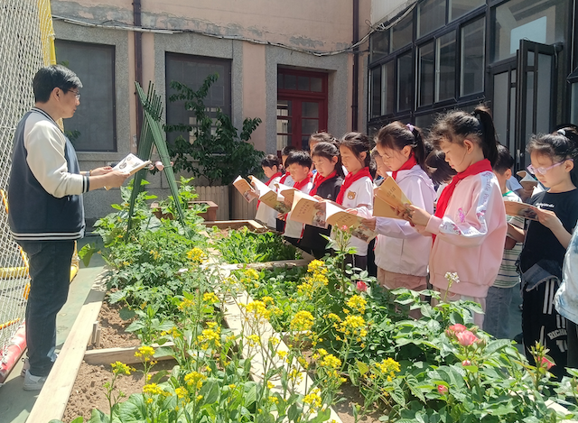 全环境立德树人|芝罘区养正小学开展劳动实践活动