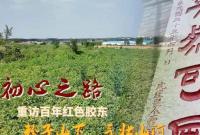 视频·初心之路|粉子山下，重温“气壮山河”