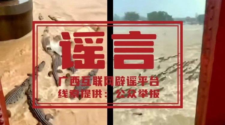 鳄鱼出逃、全城停电？关于广西汛情的谣言别再传了！