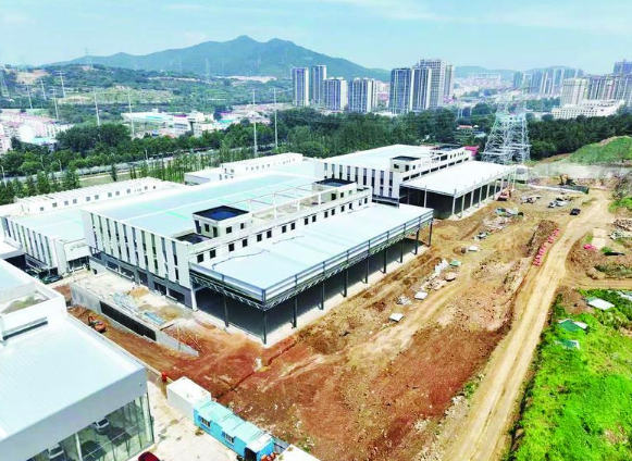 开局“十五五” 奋斗正当时|抢抓新能源汽车产业“风口”