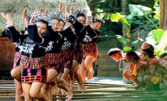 百雀掠湖、水花飞溅！烟台植物园“孔雀东南飞”惊艳启幕