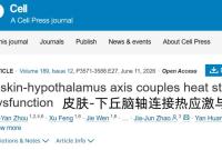 夏天总开空调和忍着不开空调的人，谁更健康？