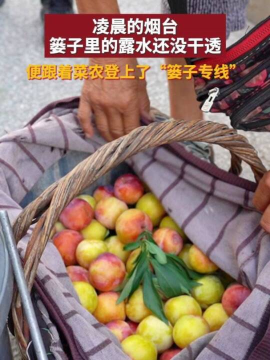 篓子公交，民生“颗粒度”在这一刻具象化了！