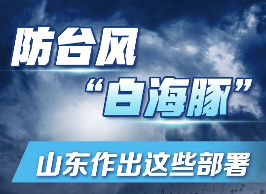 防台风“白海豚”，山东作出这些部署