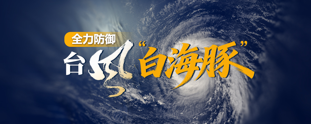 全力防御台风“白海豚”