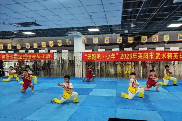 莱阳市全民健身日青少年武术大赛精彩落幕