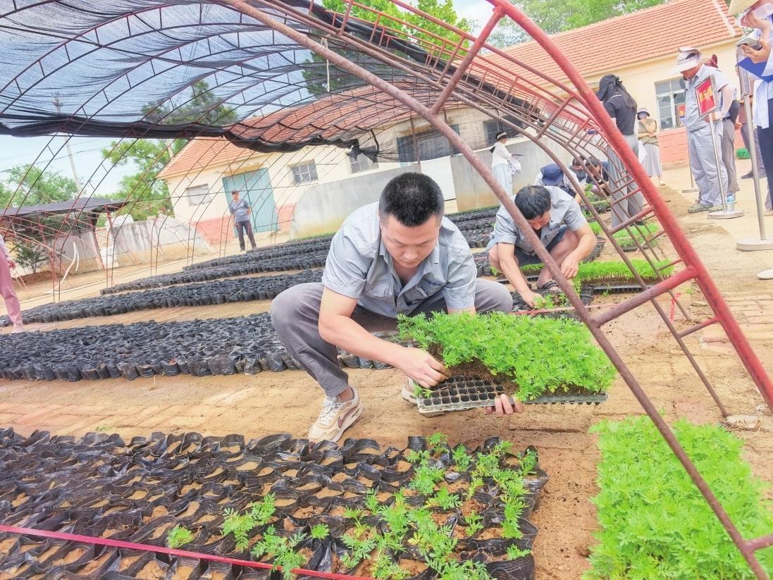 烟台市城市管理行业职业技能竞赛举行 两分钟移栽150棵花苗