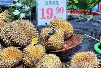 榴莲价格，大跳水