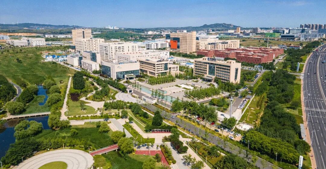 半年净赚46.6亿，烟台这家企业做对了什么？