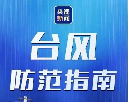 台风“沙德尔”在浙江温州龙湾区沿海再次登陆