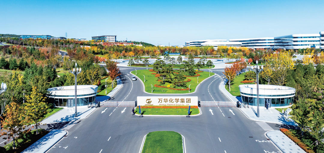 万华再造：一家化工巨头的“质变”密码