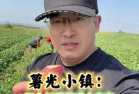 薯光小镇：把小红薯做成大文章